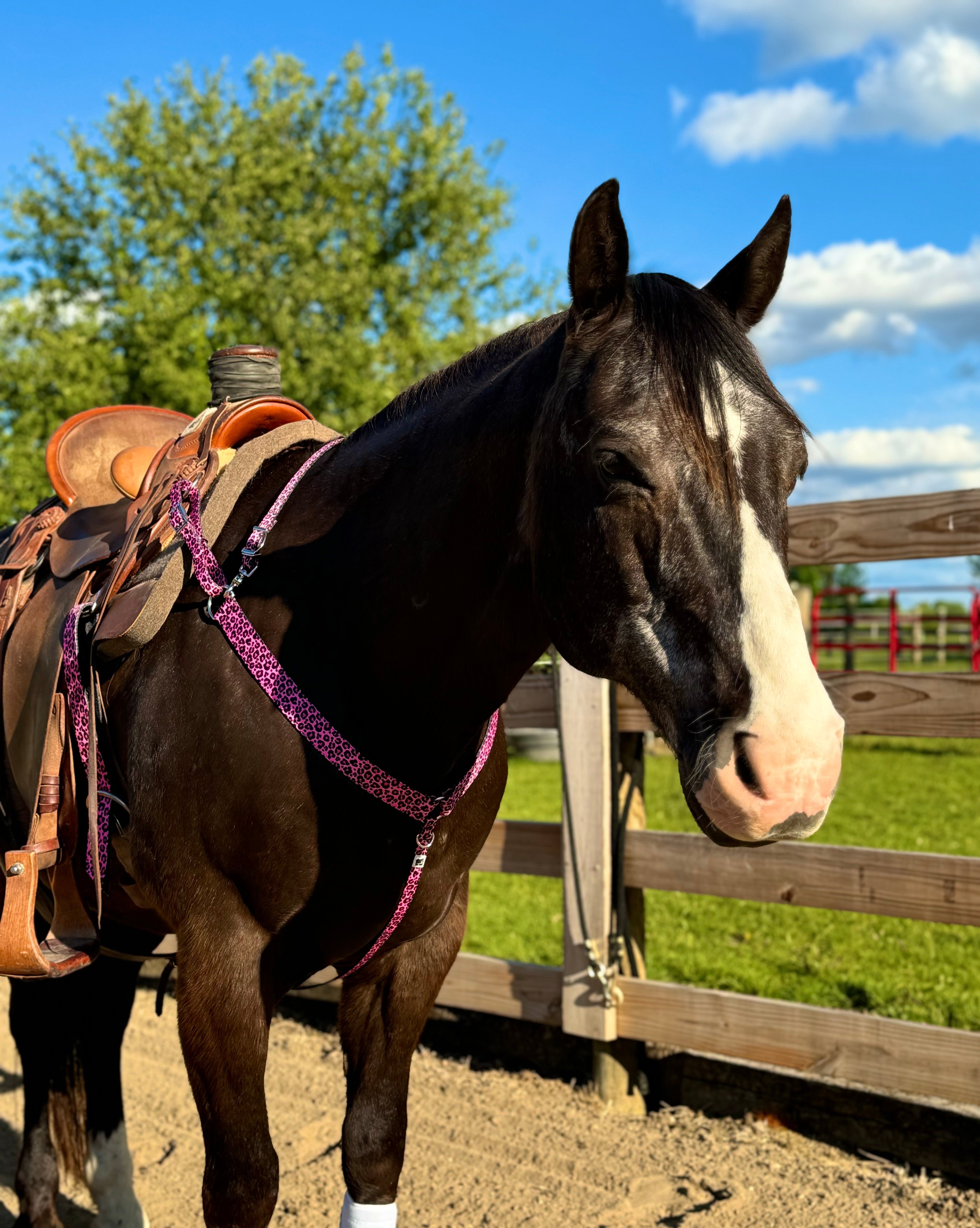 Pink Cheetah Breast Collar & Wither Strap