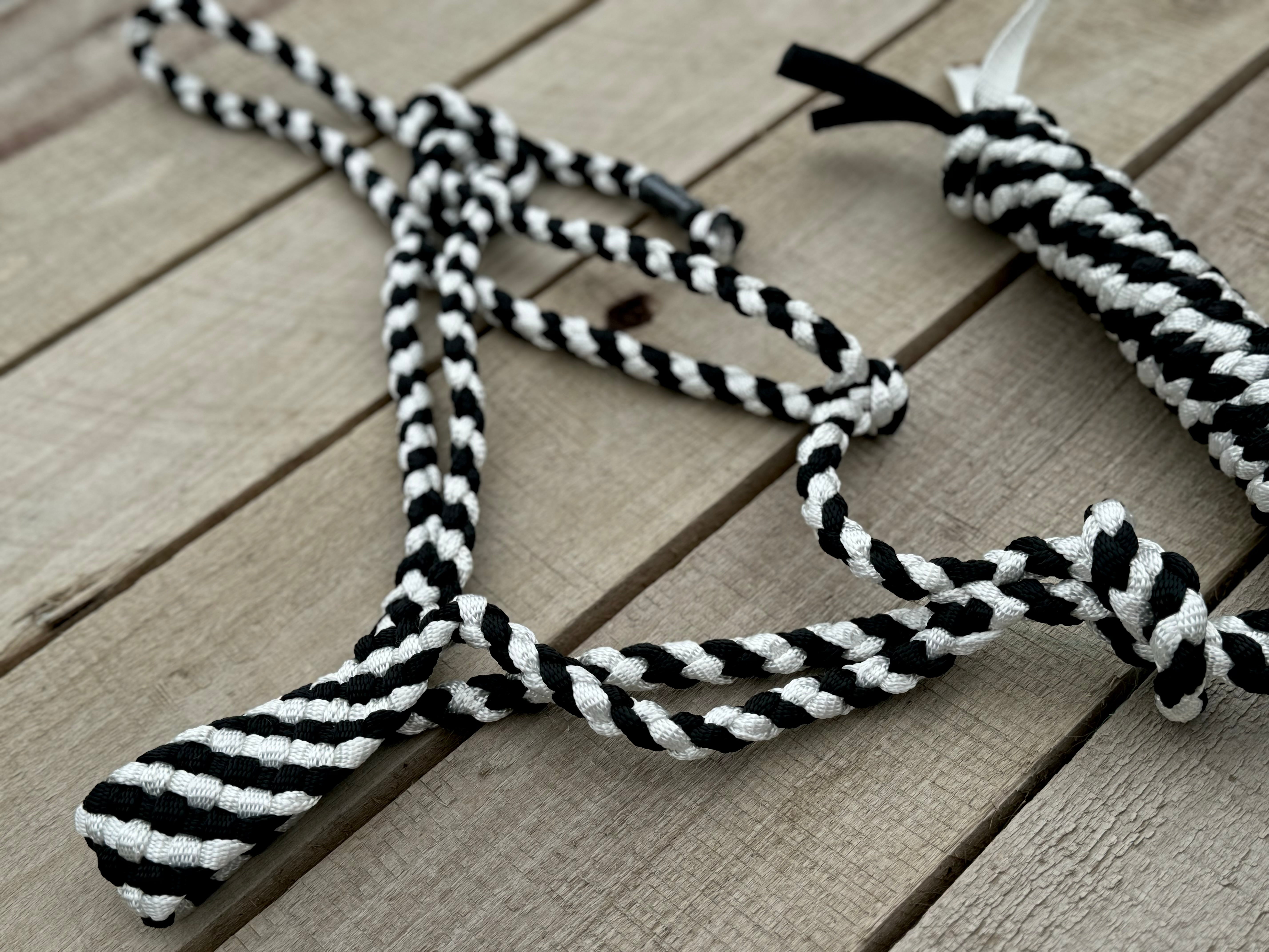 Checkers Halter & Lead