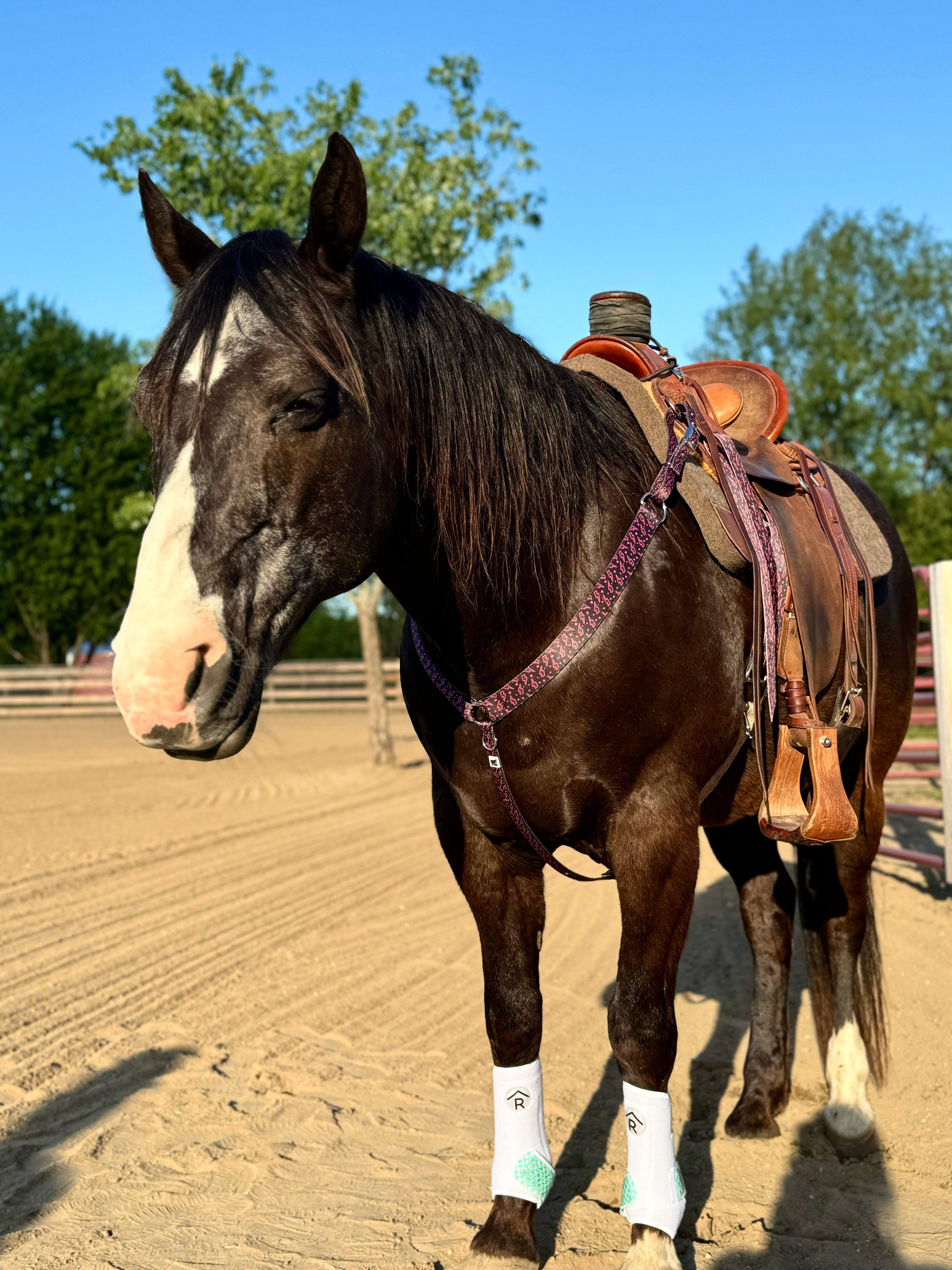 Neon Lightning Bolts Breast Collar