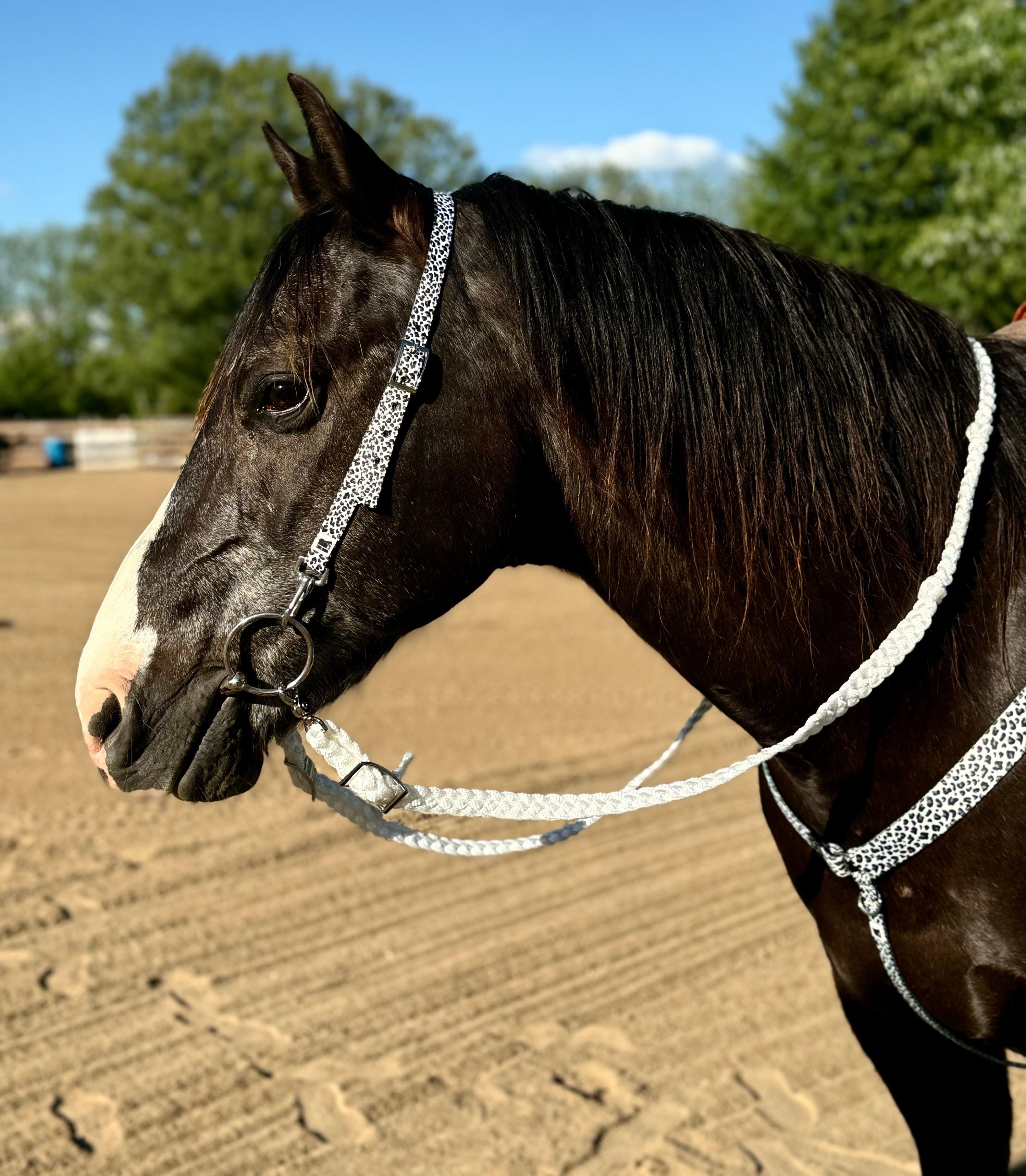 Snow Leopard One Ear Headstalls