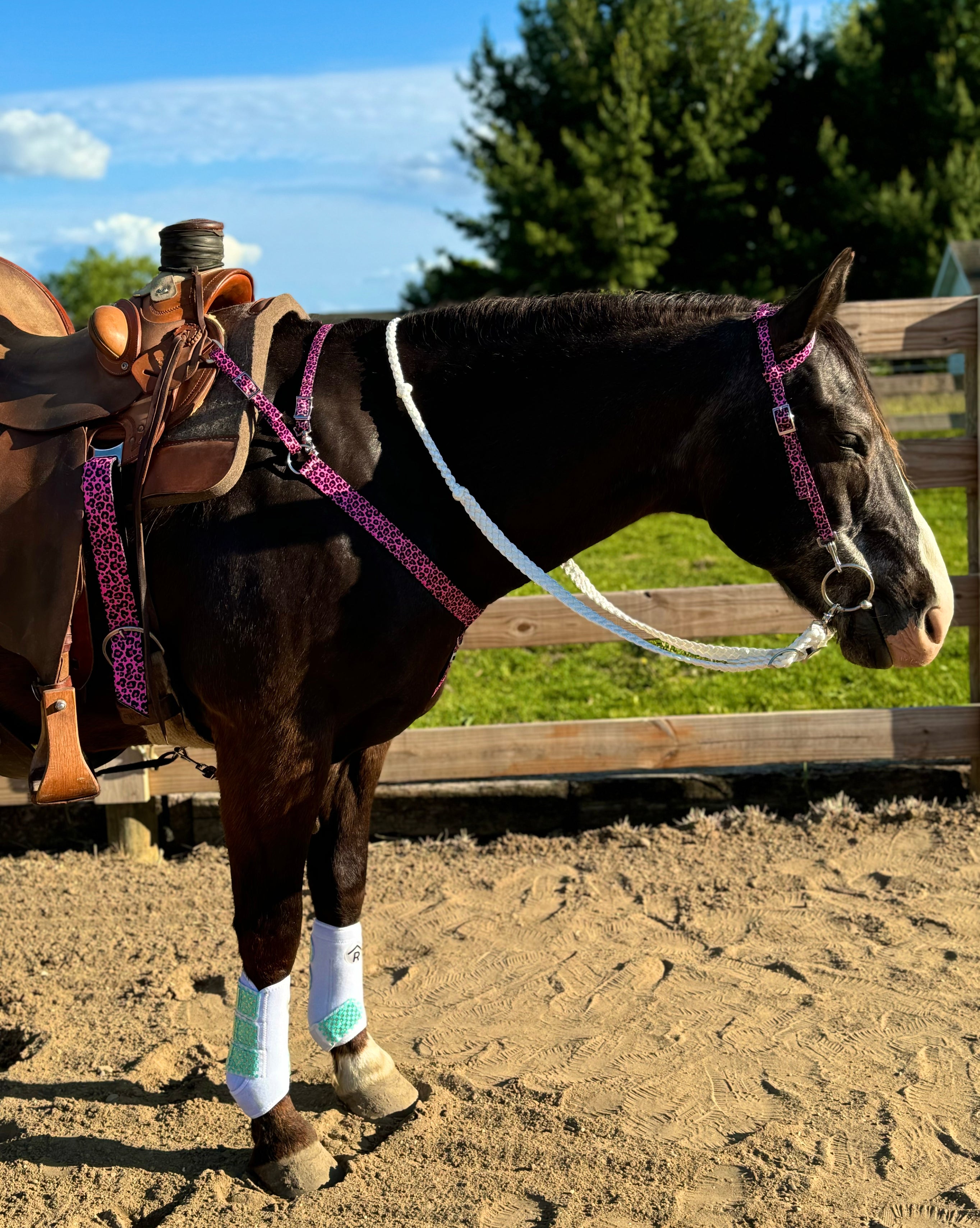 Pink Cheetah One Ear Headstalls