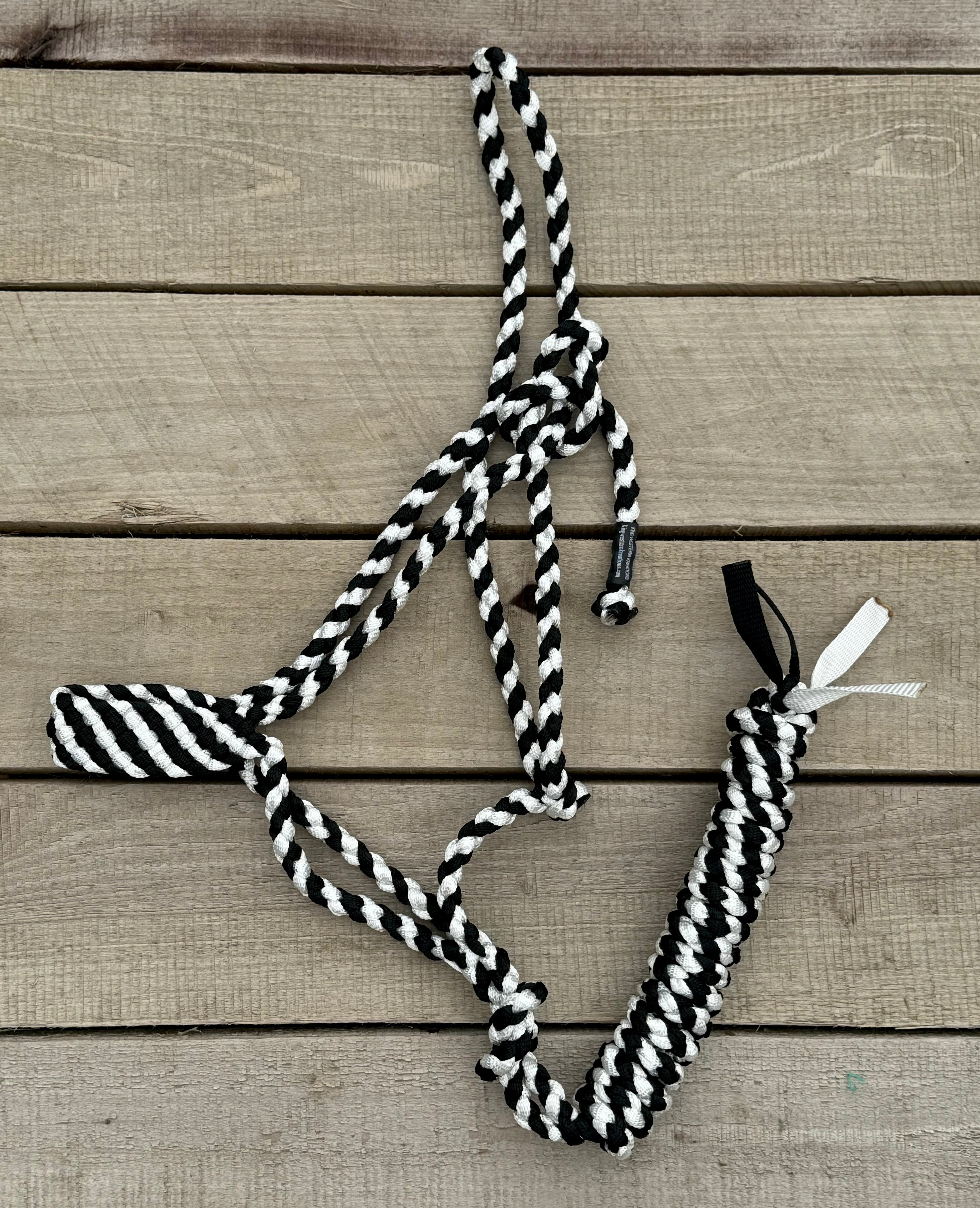 Checkers Halter & Lead