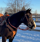 Loop Reins (all colors)
