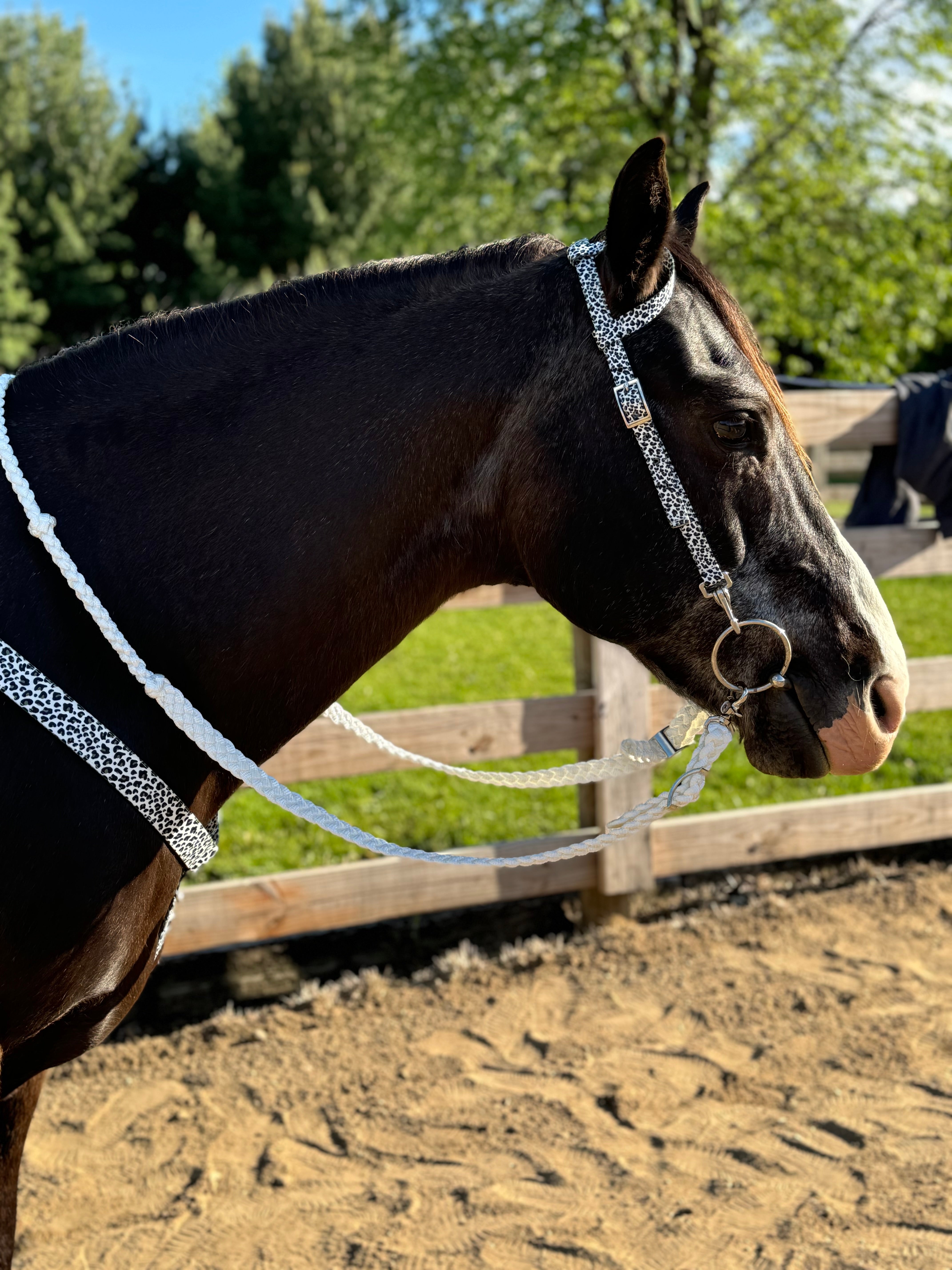 Snow Leopard Tack Set