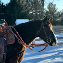 Loop Reins (all colors)