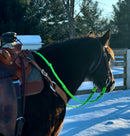 Loop Reins (all colors)