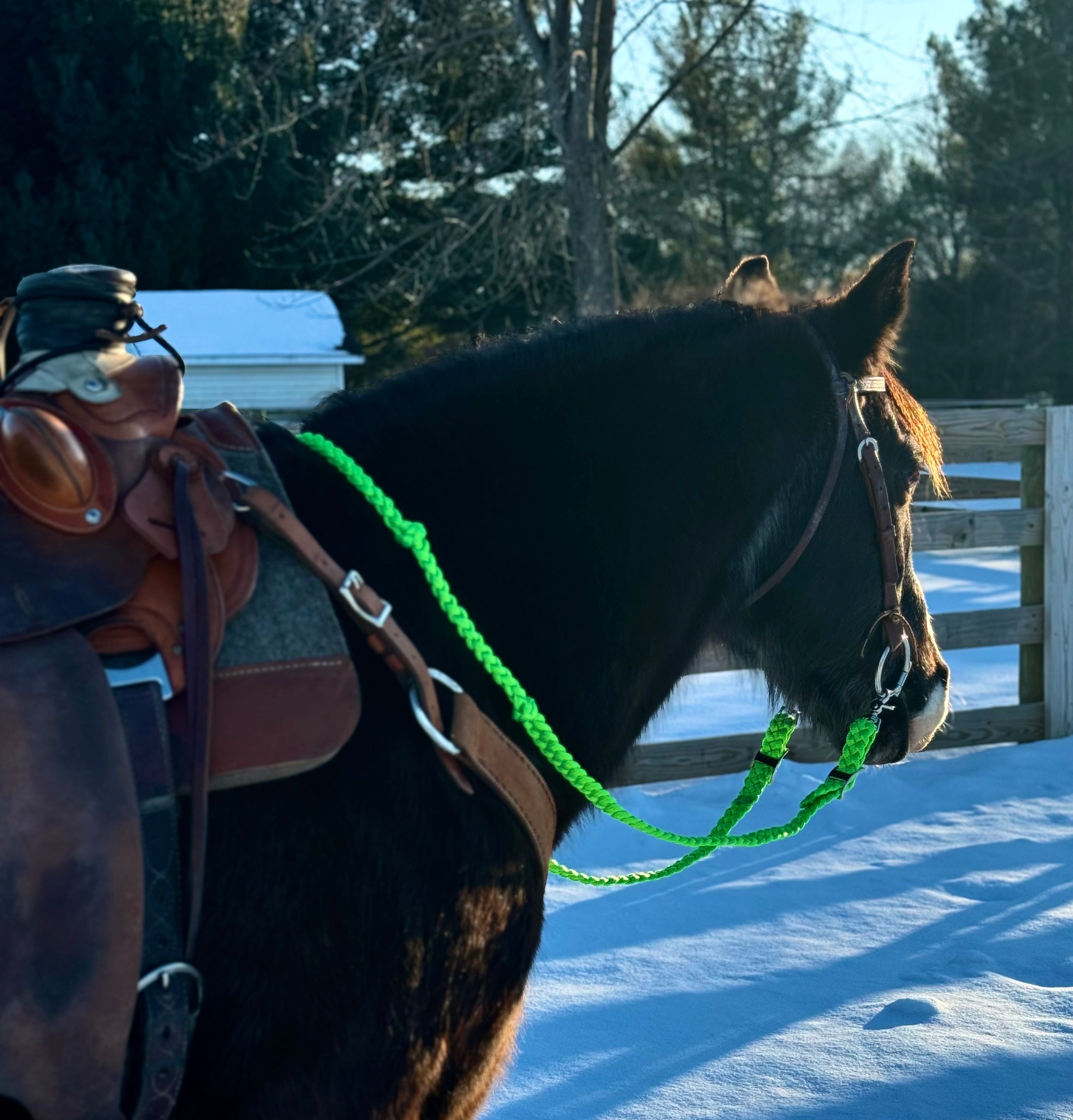 Loop Reins (all colors)