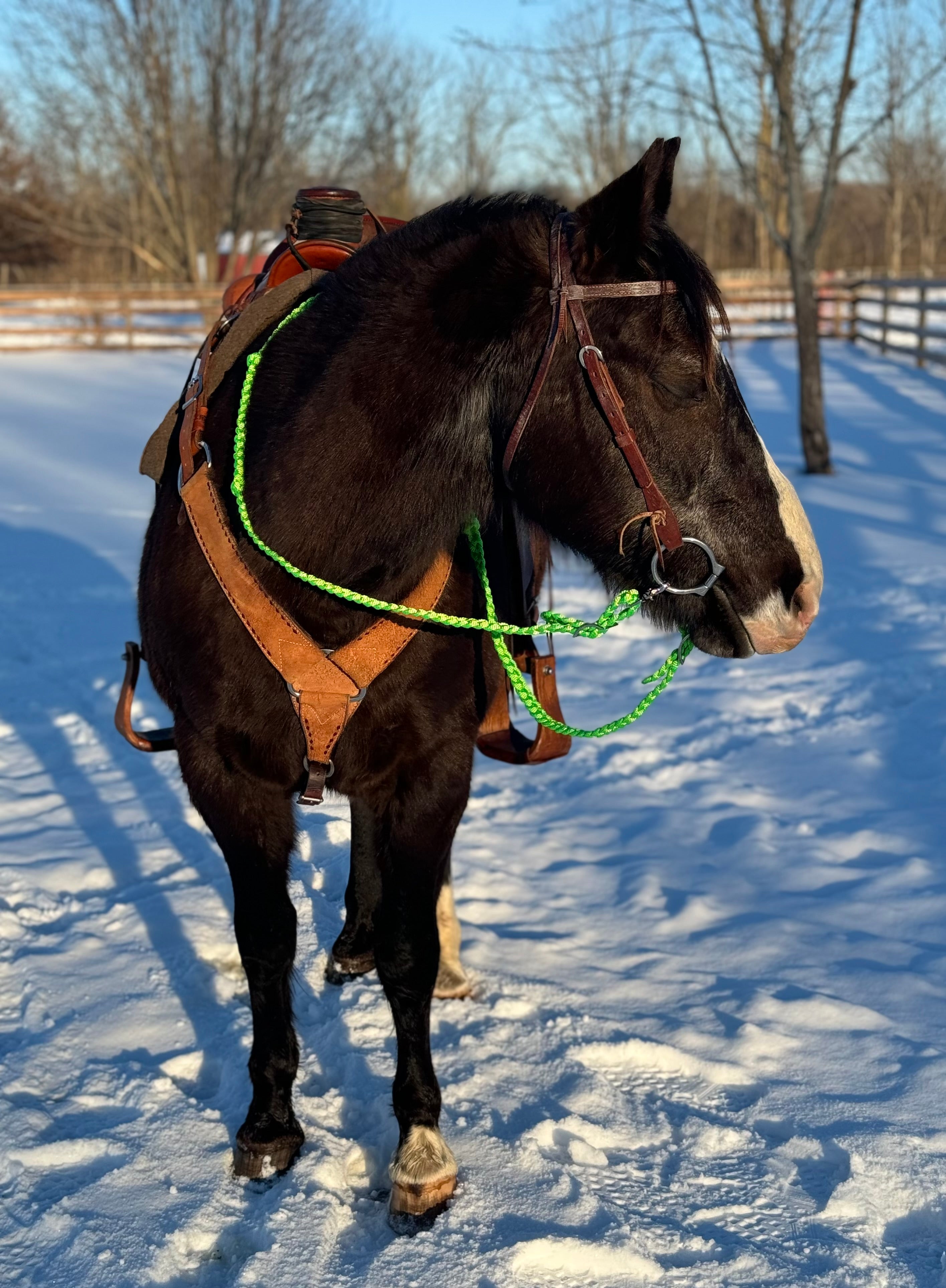 Loop Reins (all colors)