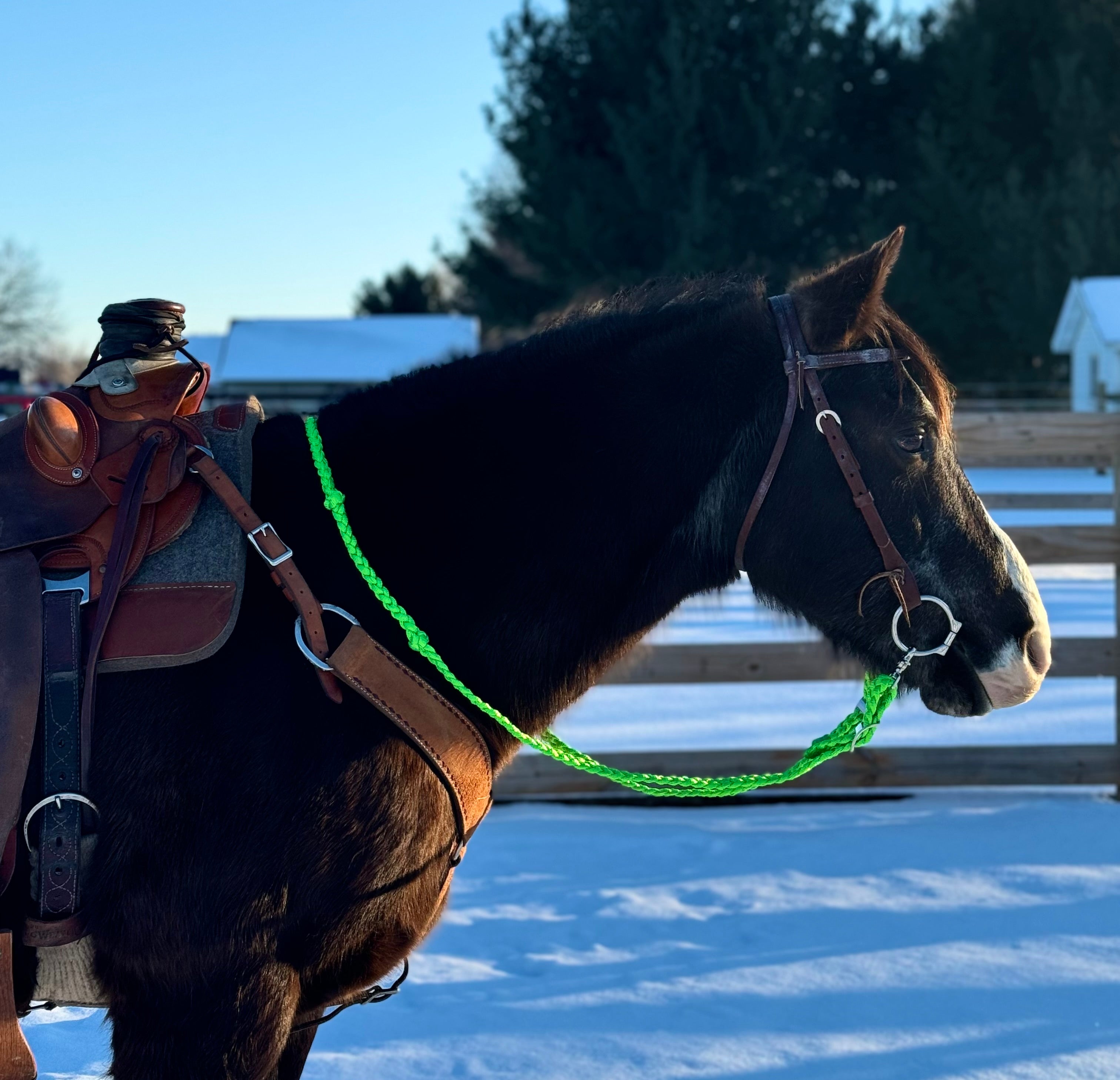 Loop Reins (all colors)