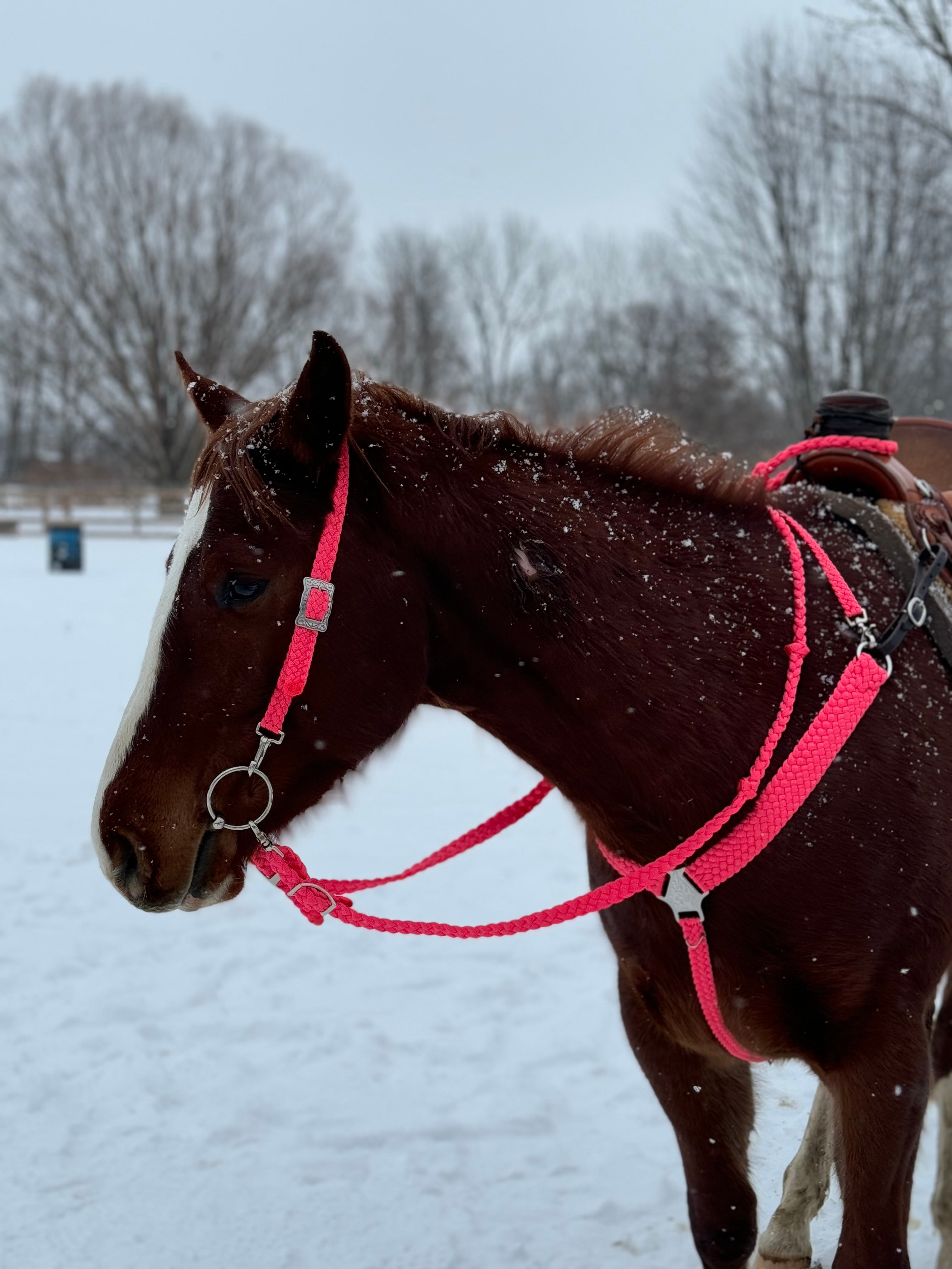 Loop Reins (all colors)