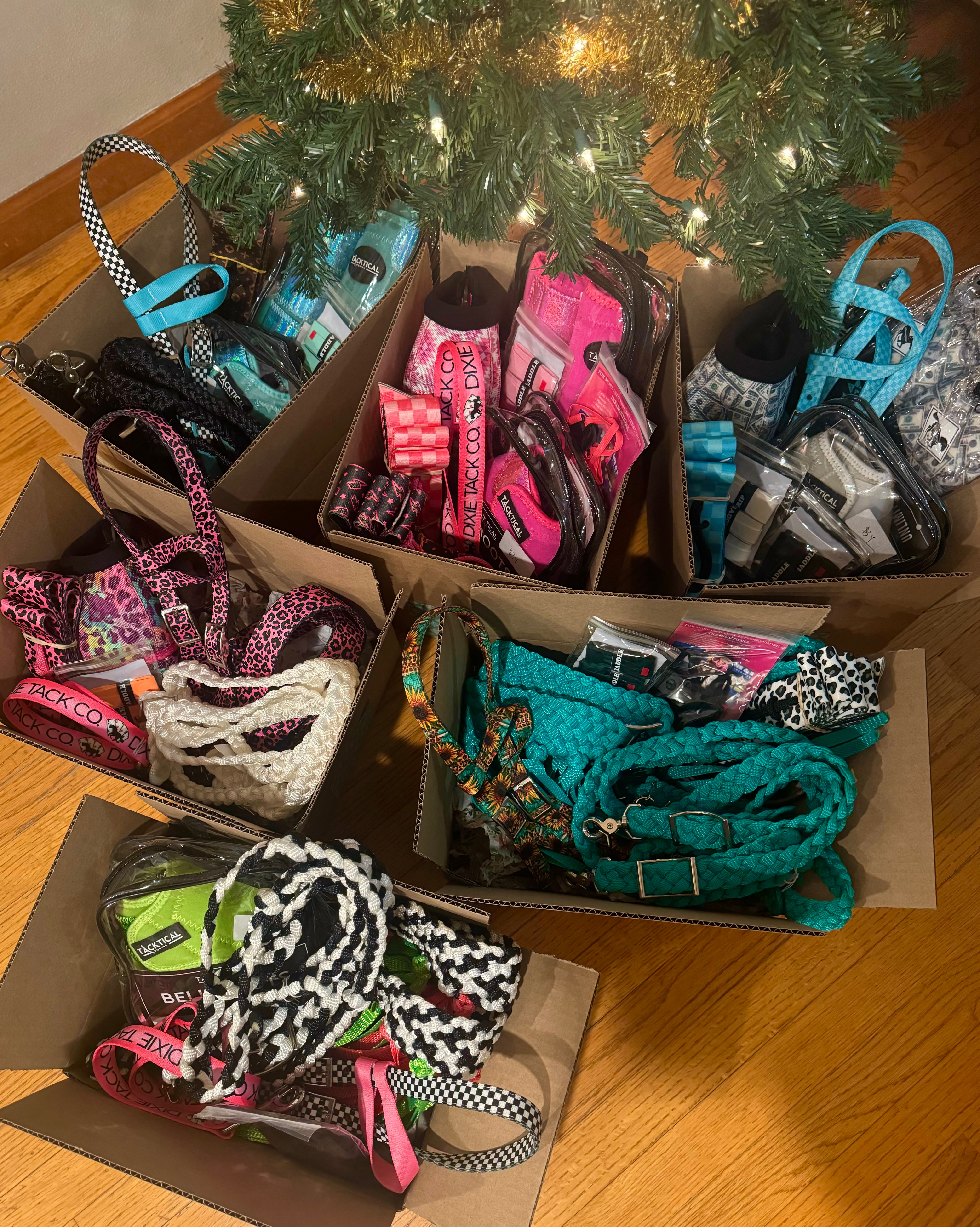 $25 Mystery Christmas Box